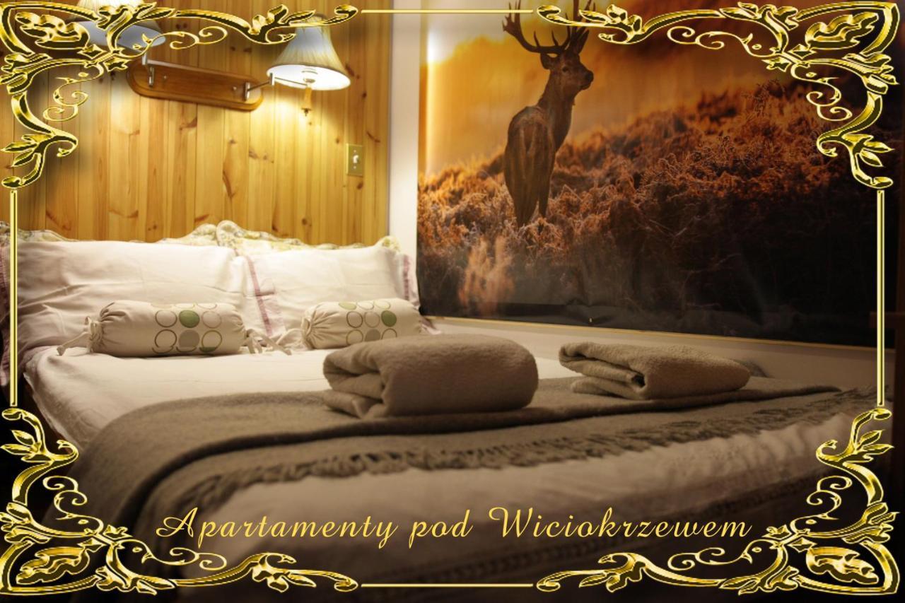 Apartamenty Pod Wiciokrzewem Супрасль Экстерьер фото